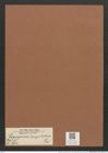 Plagiogramma ? angulatum Grev. (de-Toni-Nr.: Genus 83, Species 2931) Zeichnungen Sammlung Grunow Mappe 03100 (Herbarium_W_Grunow_drawings_Folder_03100)